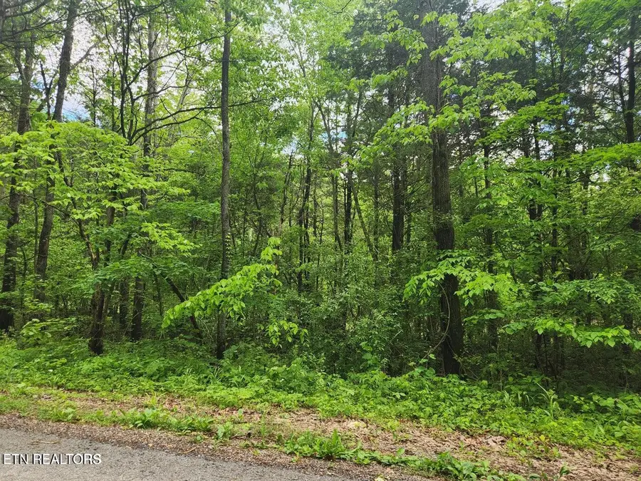County Road 121, 5.3 Ac, Athens, TN 37303 - #3