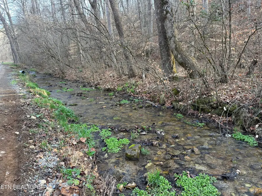 2144 Yellow Branch Rd, Rose Hill, VA 24281 - #2