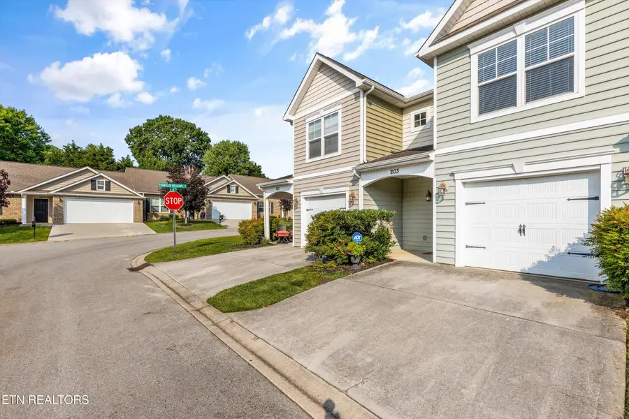 203 Bar Tall Way, Seymour, TN 37865 - #3