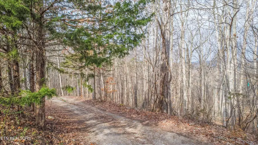 Meandering Circle, Maynardville, TN 37807 - #2