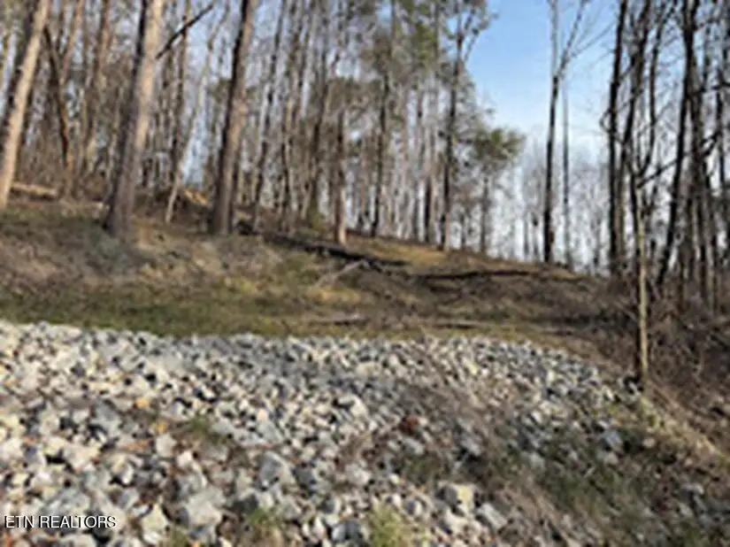 11044 Loop Rd, Soddy Daisy, TN 37379 - #3