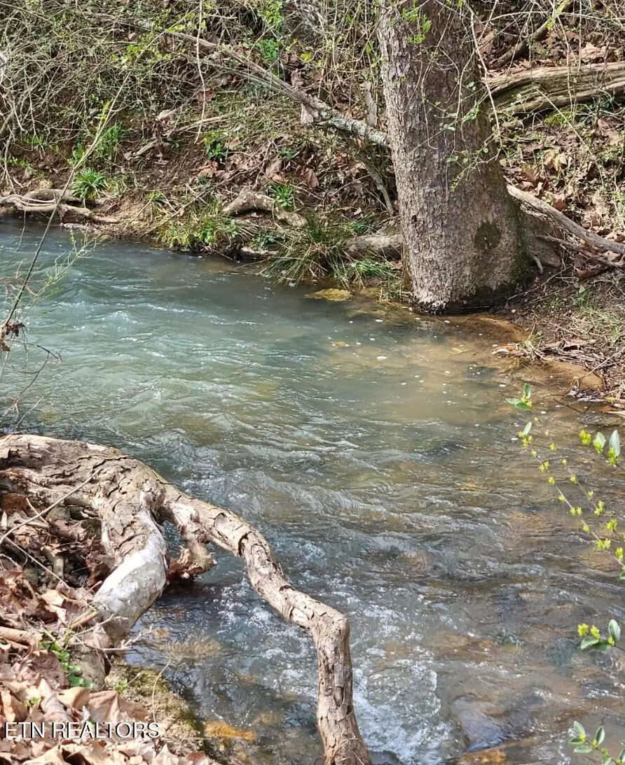 118 Wolf Creek Rd, Kingston, TN 37763 - #3