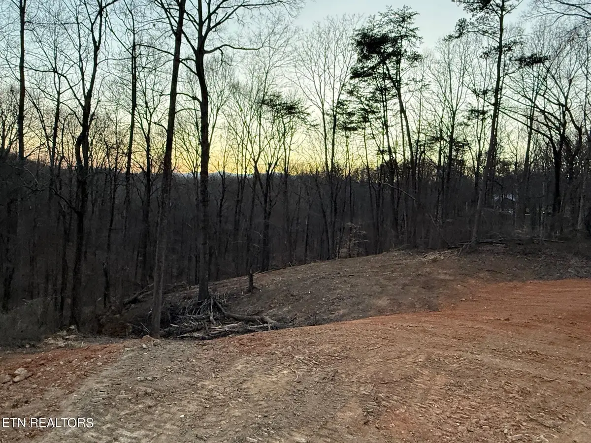 Island Ford Rd, Rocky Top, TN 37769 - #1