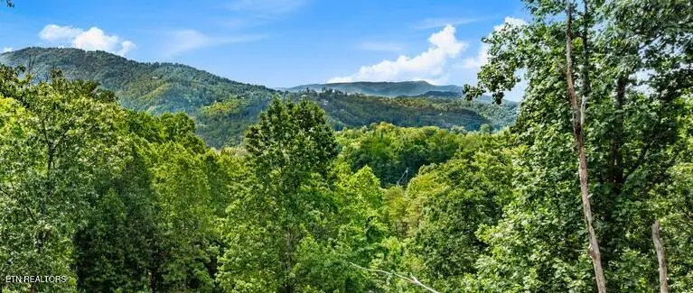 1119 Kings Ridge Rd, Gatlinburg, TN 37738 - #1