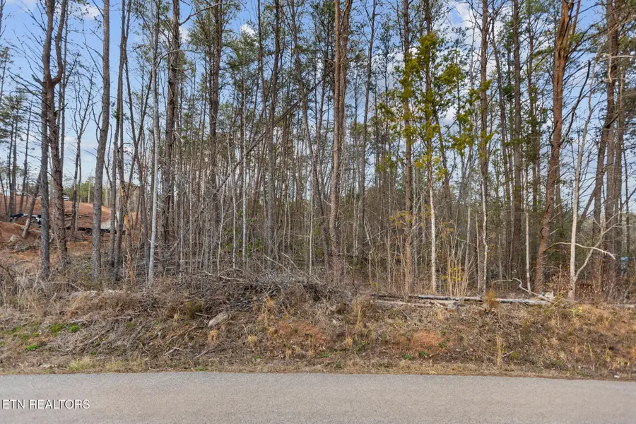 4705 Emert Williams Rd, Maryville, TN 37803 - #2