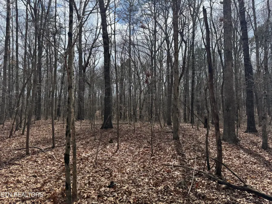 1261 Roanoke Rd, Jamestown, TN 38556 - #3