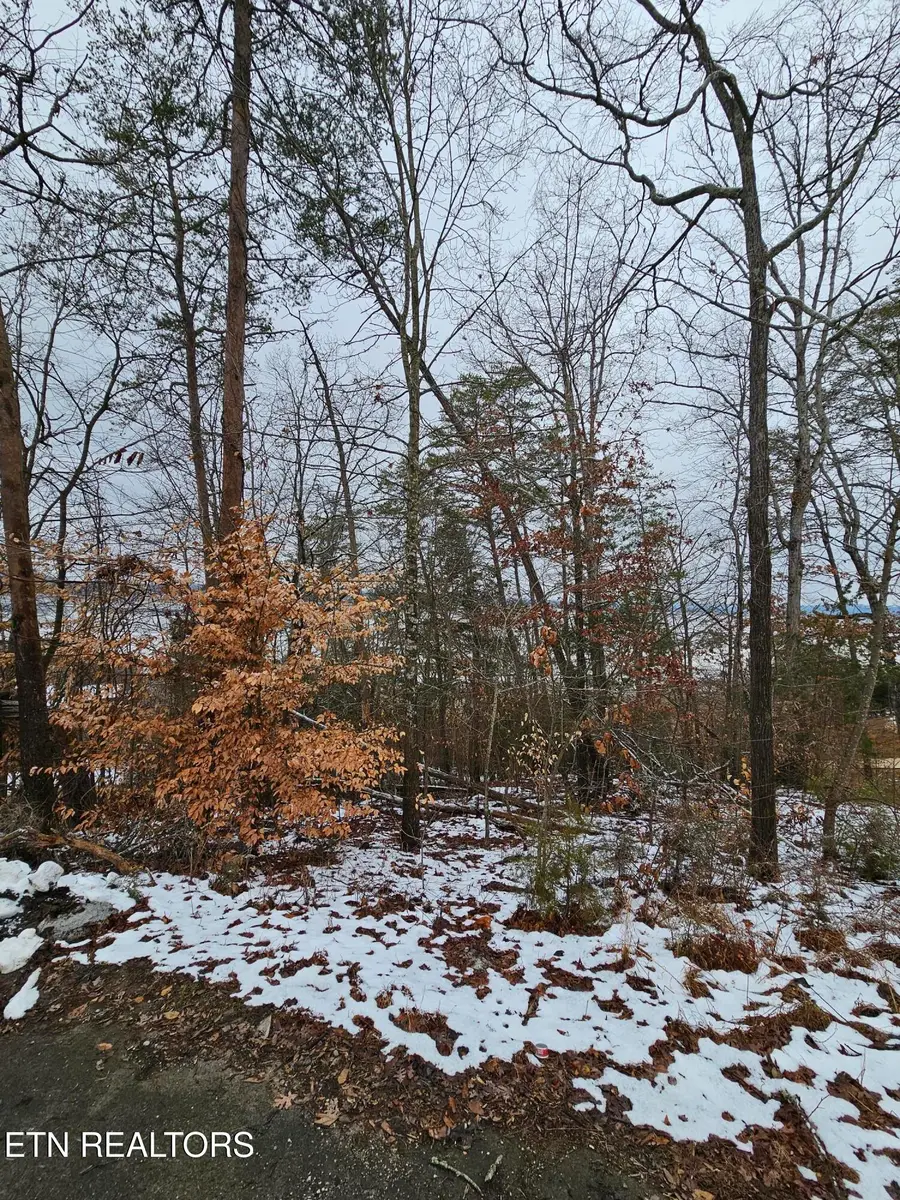 Kammann Cove, Baneberry, TN 37890 - #2