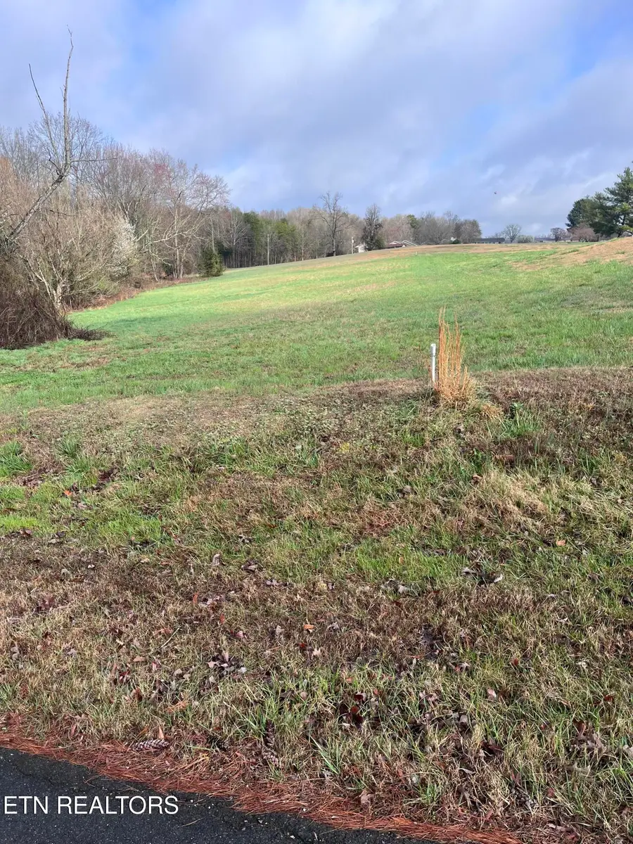 Mountain View Lane, Baneberry, TN 37890 - #2