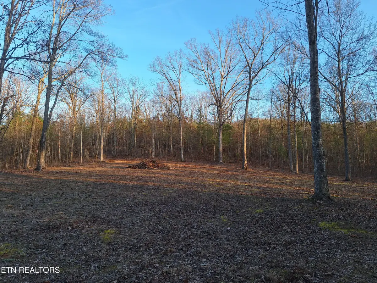 Lot 1 Mecca Pike, Tellico Plains, TN 37385 - #1