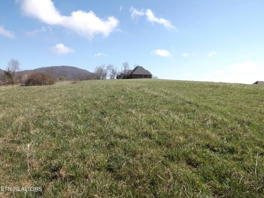 Lot 32/33 Canary Lane, Speedwell, TN 37870 - #2