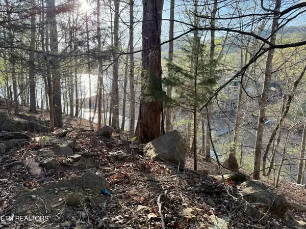 2109 Kahiti Court & Kahiti Court, Mooresburg, TN 37811