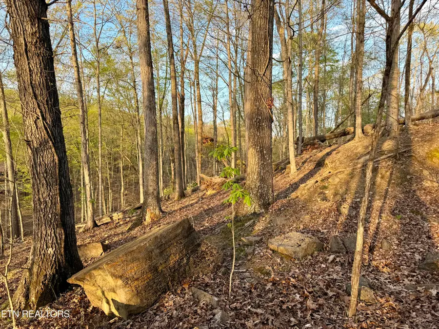 2109 Kahiti Court & Kahiti Court, Mooresburg, TN 37811 - #3