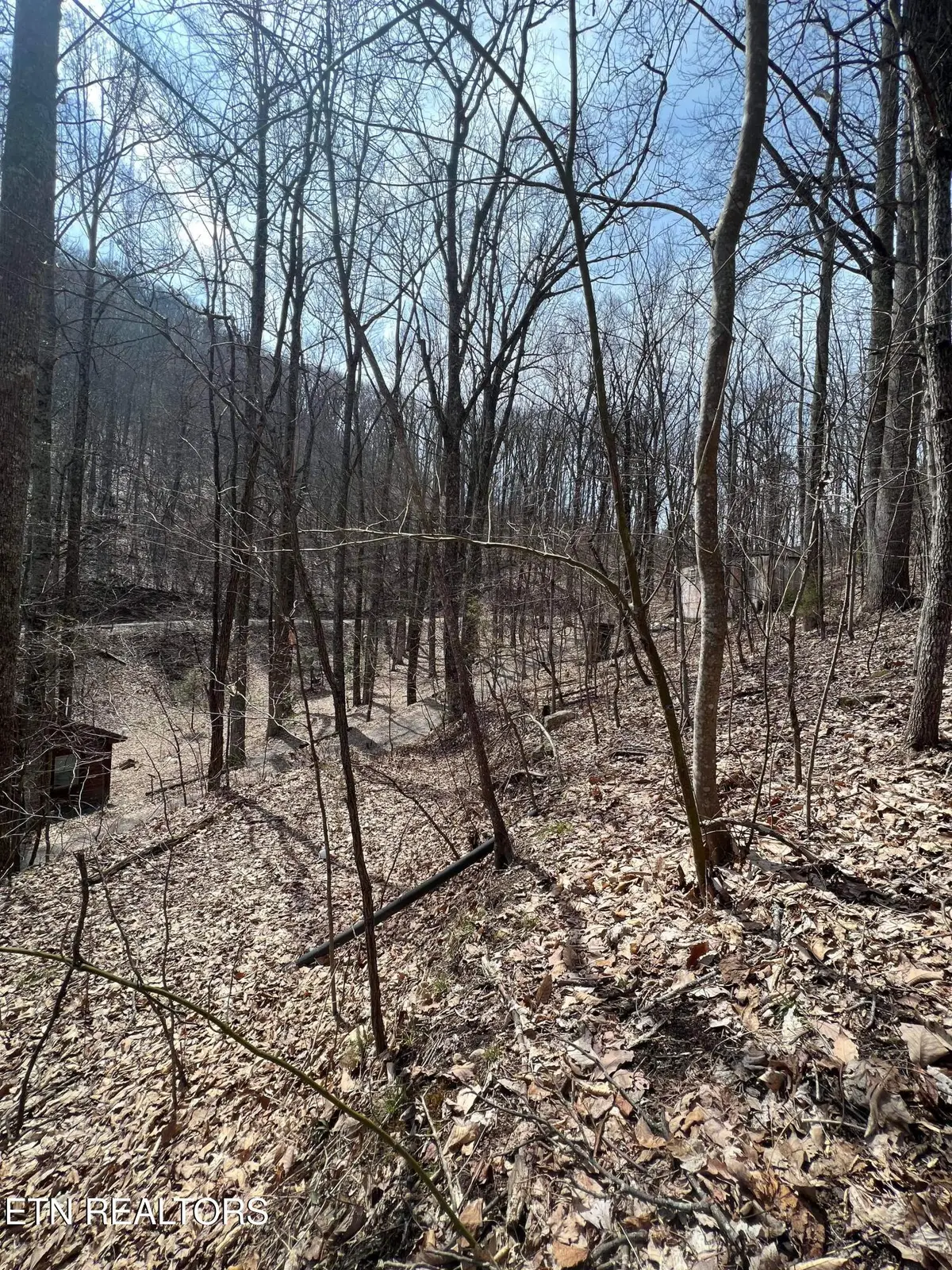 Bluff Mountain Rd, Sevierville, TN 37862 - #1