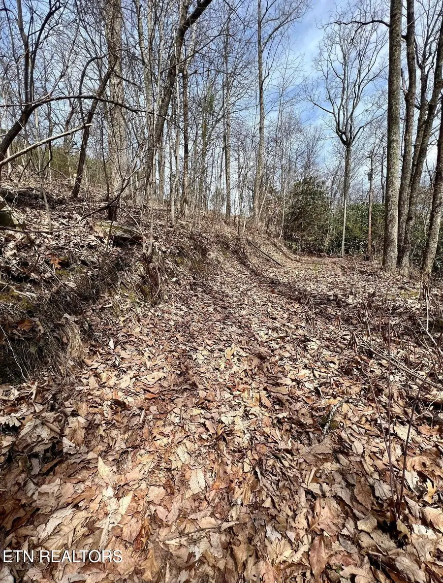Bluff Mountain Rd, Sevierville, TN 37862 - #3