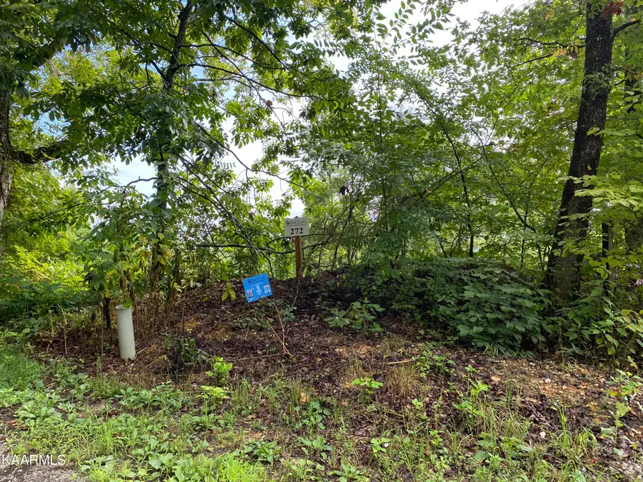 4556 Huffine Rd, Loudon, TN 37774 - #3