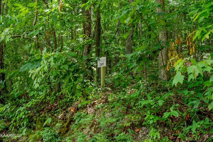 4521 Huffine Rd, Loudon, TN 37774 - #2