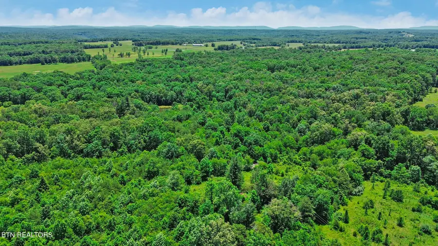 Adams Creek Rd, Crossville, TN 38571 - #3