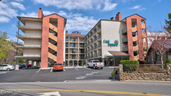 685 River Rd #306, Gatlinburg, TN 37738