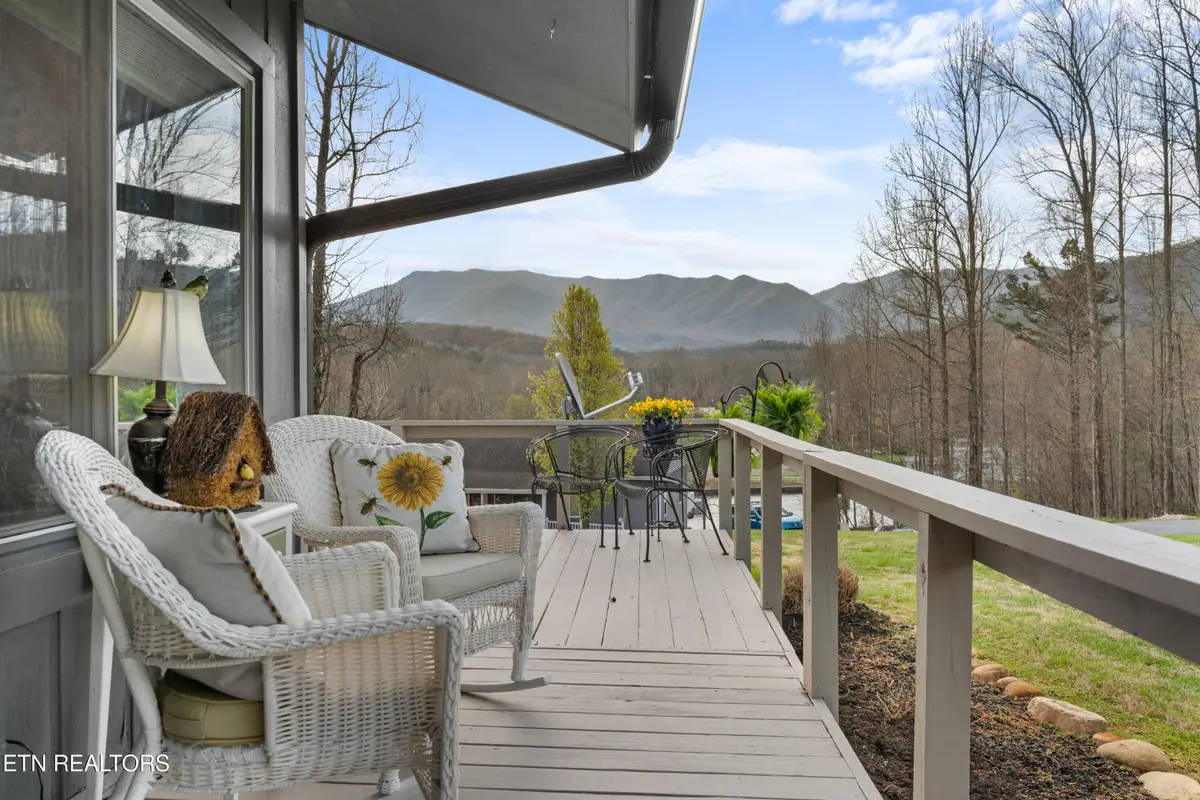 4304 Little Creek Way #M, Cosby, TN 37722 - #1