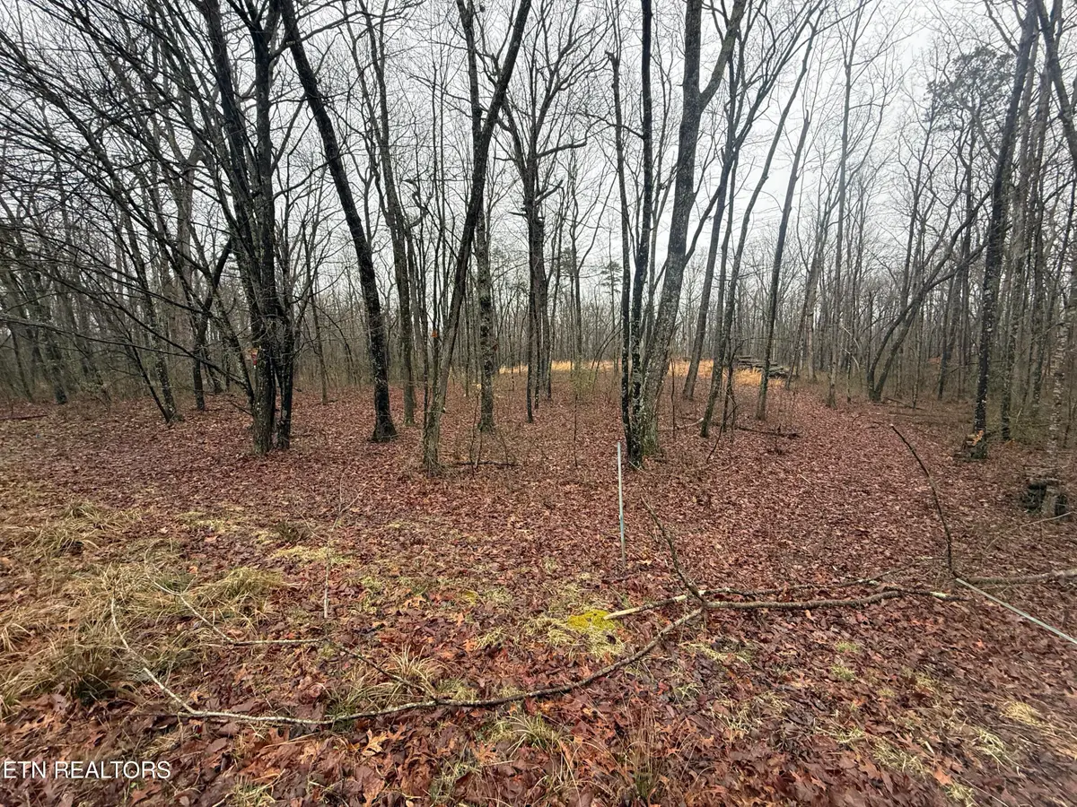 551 Cliff Park Rd, Monterey, TN 38574 - #1
