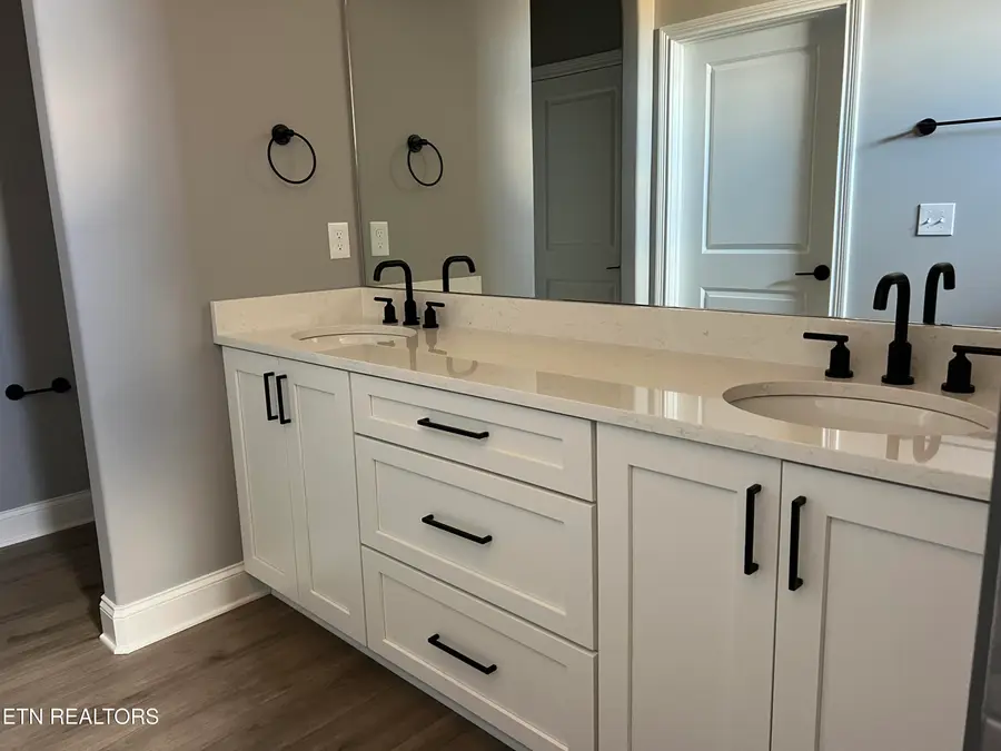 178 River Birch Drive, Lenoir City, TN 37771 - #2