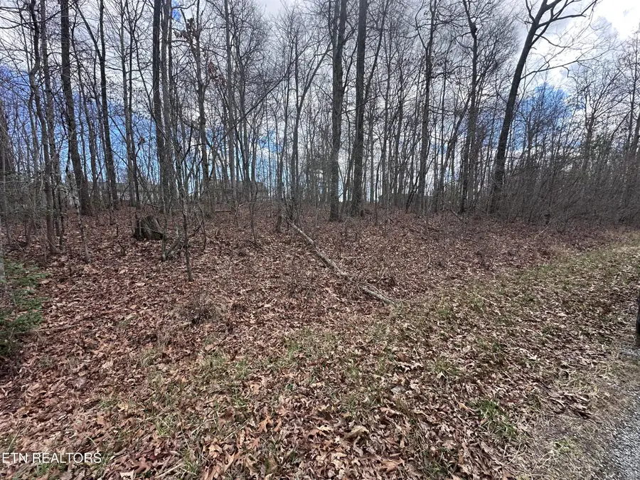 Tama Trace #9 # 9, Crossville, TN 38572 - #2