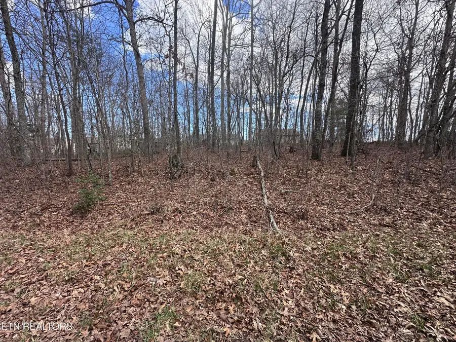 Tama Trace #9 # 9, Crossville, TN 38572 - #3