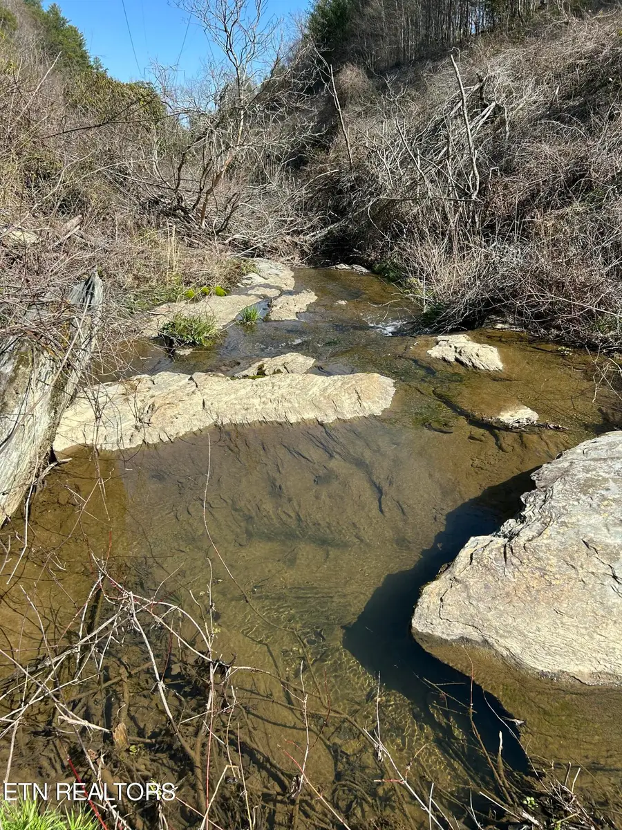 Mcjunkin Rd, Tellico Plains, TN 37385 - #3