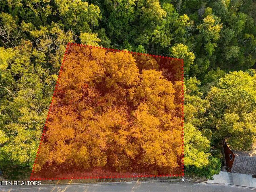 Lot 144 Eagle Feather Drive, Sevierville, TN 37876 - #3