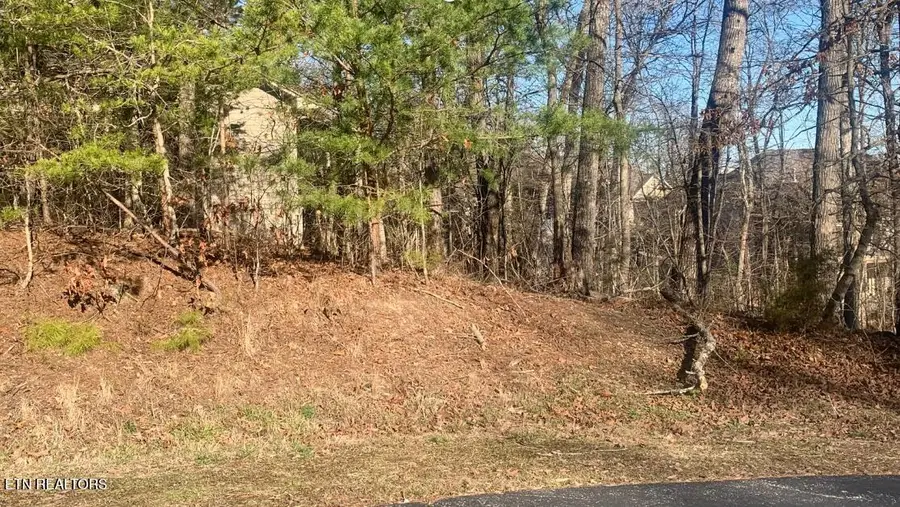 205 Seminole View, Loudon, TN 37774 - #3