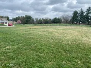 138 Lilac Lane, Speedwell, TN 37870 - #3