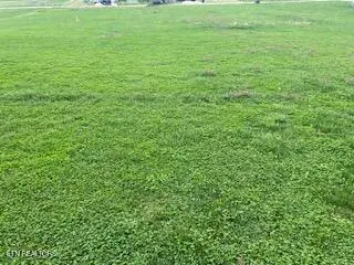 125 Lilac Lane, Speedwell, TN 37870 - #2