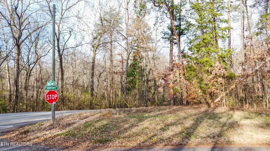 0 E Antioch Church Rd, Lenoir City, TN 37772 - #2
