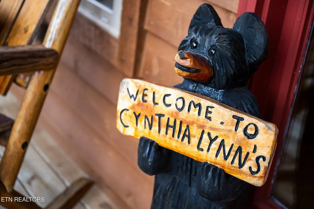 244 Forrest Loop Way, Gatlinburg, TN 37738 - #1