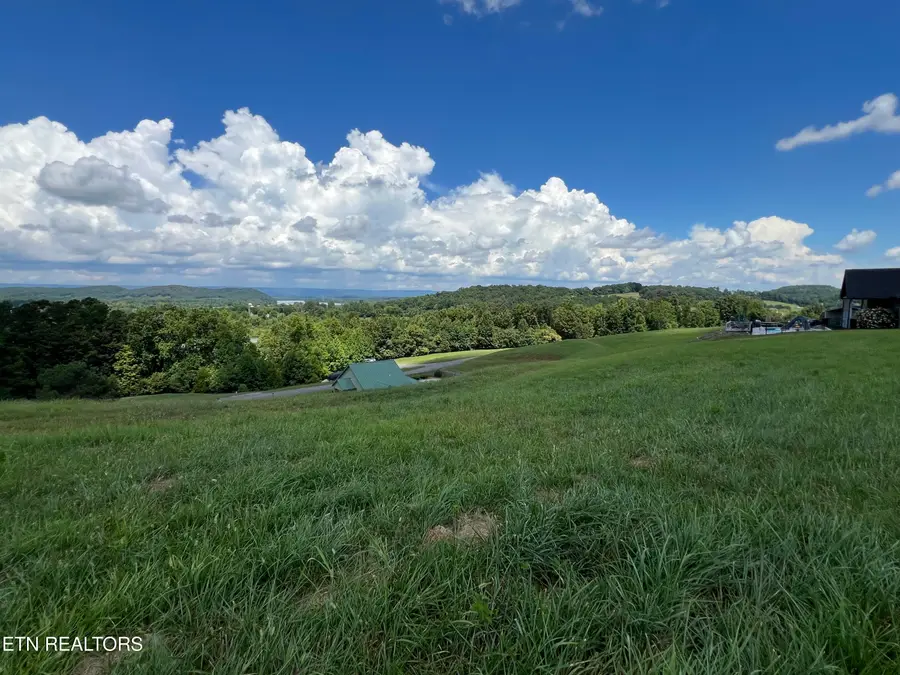 Lot 53 Cottonwood, Decatur, TN 37322 - #3