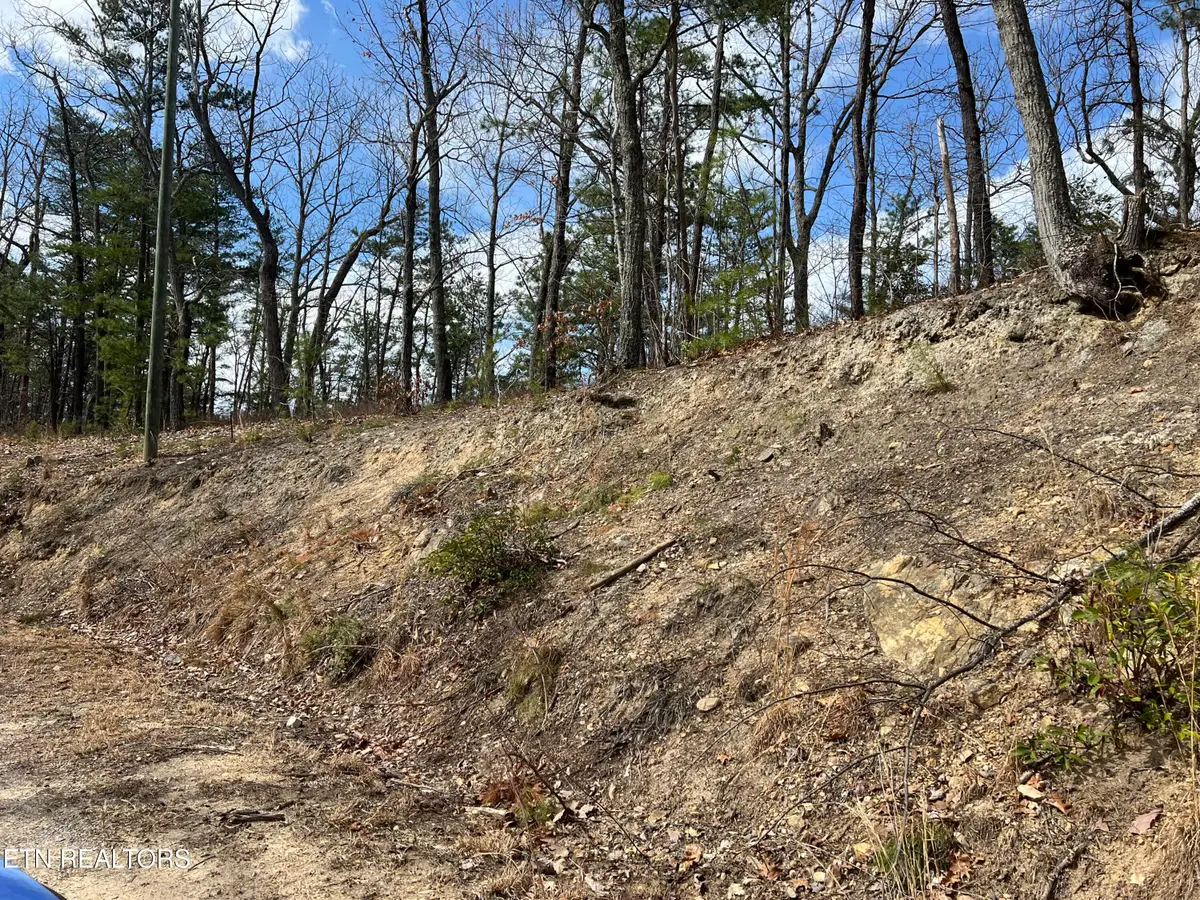 Chestnut Ridge Court, Sevierville, TN 37876 - #1