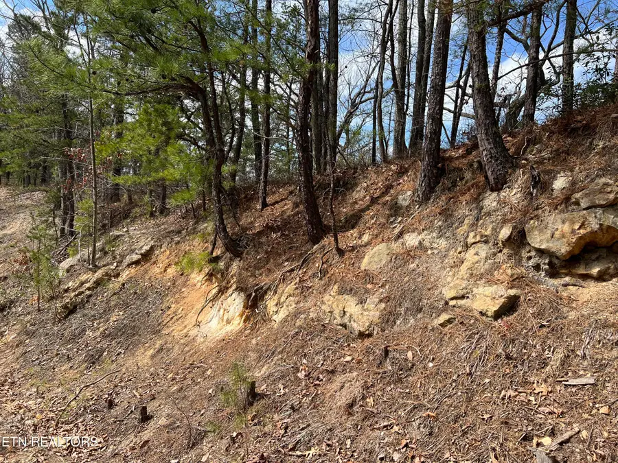 Chestnut Ridge Court, Sevierville, TN 37876 - #3