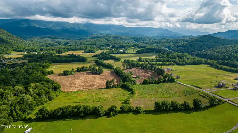 Lot 3R2 Holders Grove Rd, Cosby, TN 37722 - #3