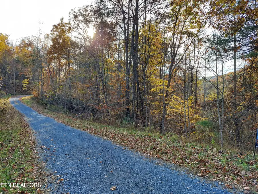 Lot 19 Sugar Maple Way, Del Rio, TN 37727 - #2