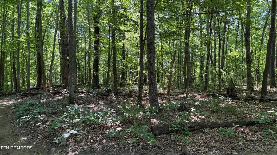 Little Place #23, Monterey, TN 38574 - #2