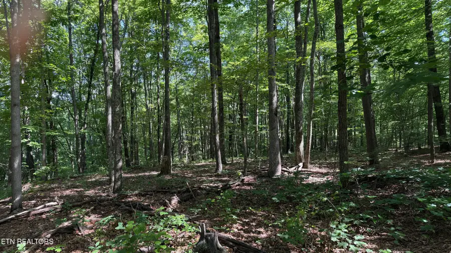 Little Place #23, Monterey, TN 38574 - #3