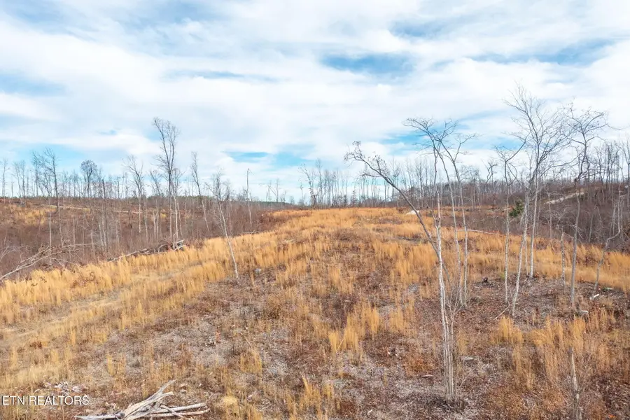 149 Aspen Heights Rd, Jamestown, TN 38556 - #2