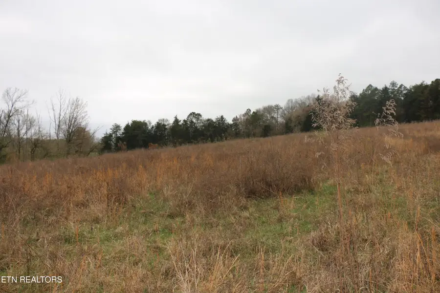 10.62 Acrs Campground Rd, Madisonville, TN 37354 - #3