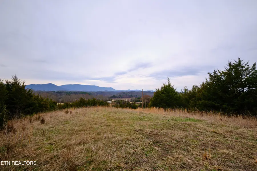 1420 Swannsylvania Rd, Dandridge, TN 37725 - #3