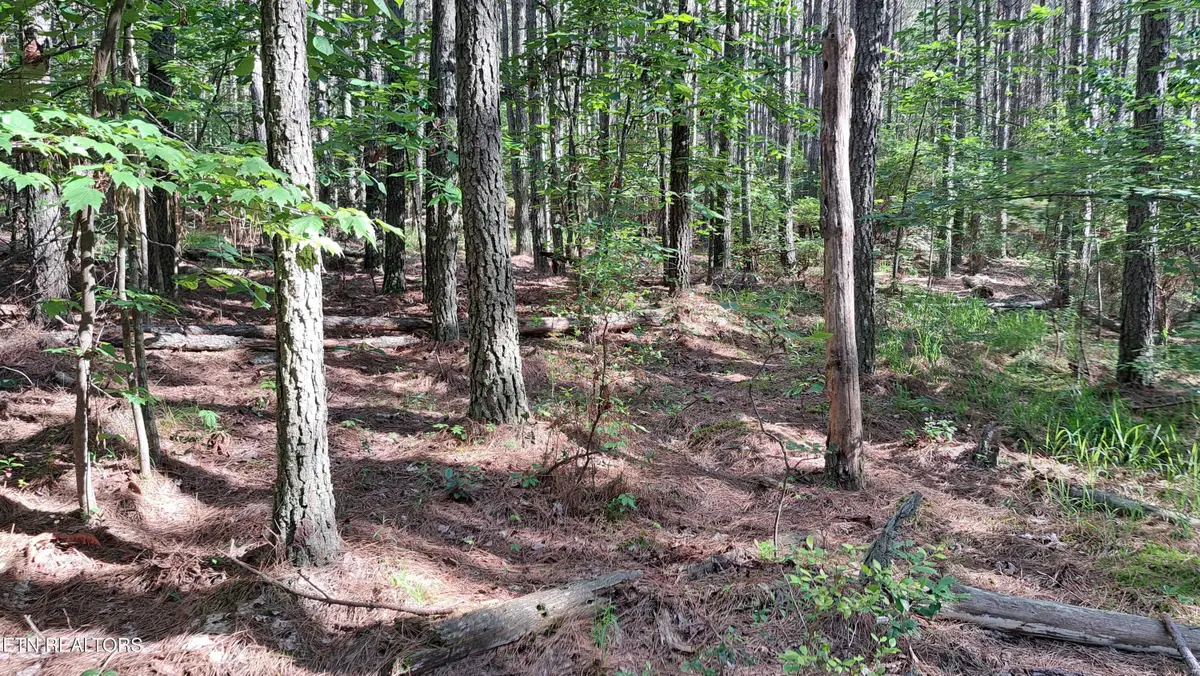 152 Sunset View Lane, Rockwood, TN 37854 - #1