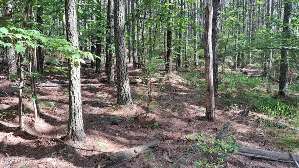 152 Sunset View Lane, Rockwood, TN 37854