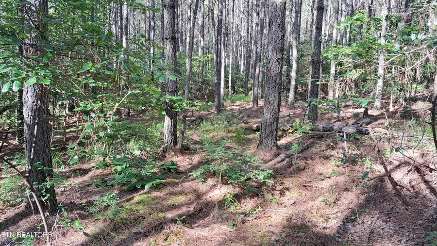 152 Sunset View Lane, Rockwood, TN 37854 - #2