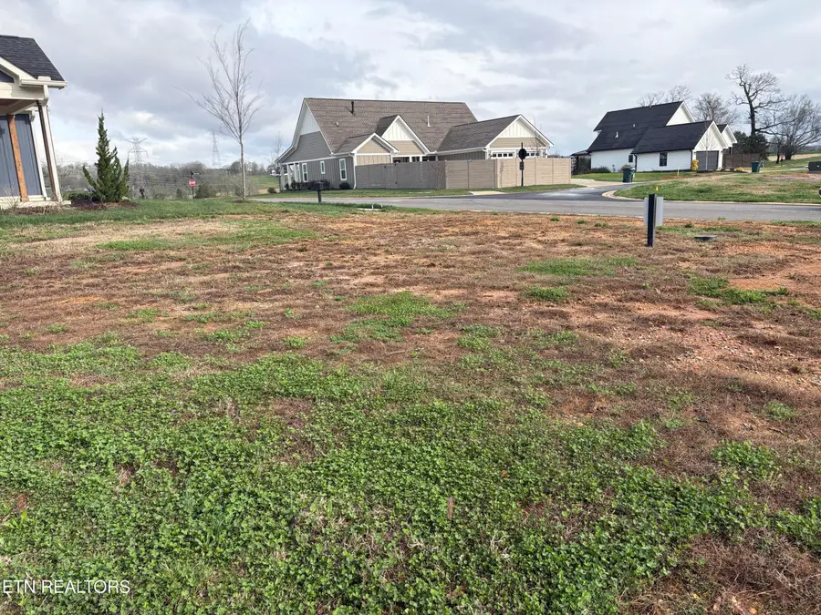 1565 Bobcat Run Drive, Loudon, TN 37774 - #2