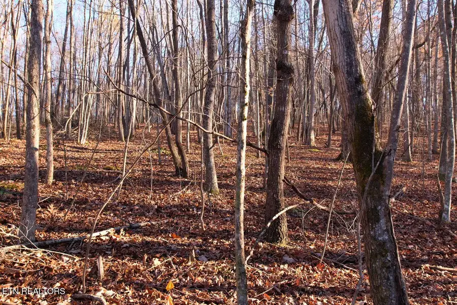 106+107 Hiwassee View Drive, Jacksboro, TN 37757 - #3