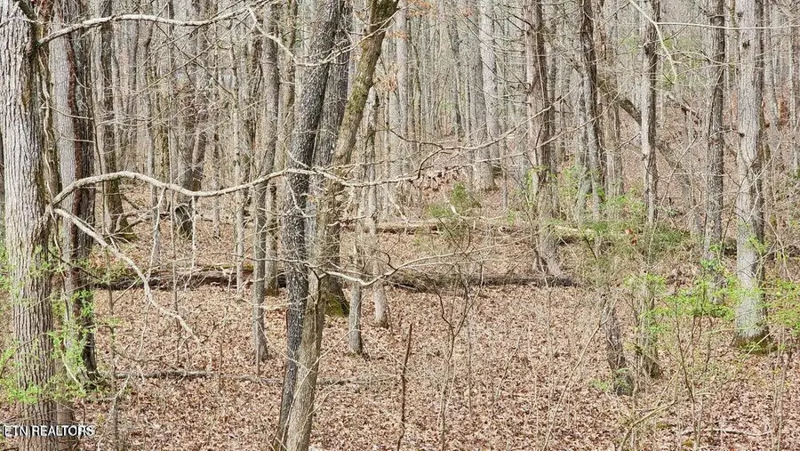 210 E Shore Drive, Rockwood, TN 37854 - #2